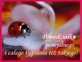 🐞Pomyślnego Tygodnia życzę!