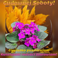 🌸Cudownej Soboty!