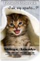 :)Dzie�doberek ..Jak si� spa�o?