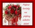 Pi�kne kwiaty na pi�kny sobotni dzie�!