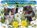 🌼Milutkie wtorkowe pozdrowienia...