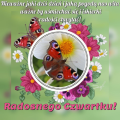 🦋Radosnego Czwartku!