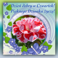 🌸Pięknego czwartkowego dnia życzę!