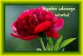 �ycz� bardzo udanego wtorku!