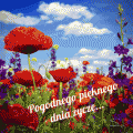 ☀Pi�knego pogodnego dnia!