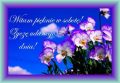 Witam pi�knie w sobot� i �ycz� udanego dnia!