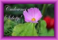 Cudownej, przemi�ej soboty!