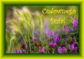 Cudownego letniego dnia!