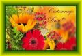 �ycz� Ci cudownego dnia!