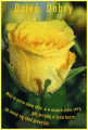 Miej w sercu z�ote r�e, a w oczach z�ote skry.. 