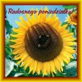 Radosnego poniedzia�ku i takiego tygodnia!