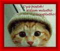Dzi� pi�tek! Witam milutko i cieplutko!