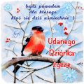 ❄ Udanego dzionka :)