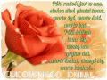 🤗P�ki rado�� jest w nas...