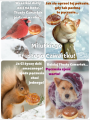 🍩Milutkiego Tłustego Czwartku!
