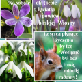 🌱 Dla Ciebie na Sobot�...