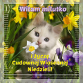 🌷🌼Cudownej Wiosennej Niedzieli!