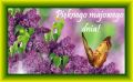 Życzę pięknego, majowego dnia!