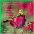 Chwil Szcz�cia na Poniedzia�ek i Ca�y Tydzie� ...