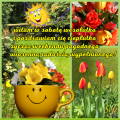 ☀U�miechni�te sobotnie dzie� dobry:)
