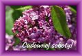 Cudownej majowej soboty!