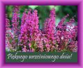 �ycz� pi�knego, wrze�niowego dnia!