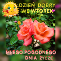 ☀Miłego pogodnego Wtorku!