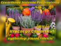 Czwartkowe jesienne dzień dobry!