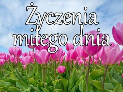 Kartka Mi�ego dnia