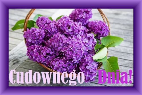 Wiklinowy kosz pe�en fioletowego bzu stoj�cy na drewnianym stole z napisem Cudownego Dnia