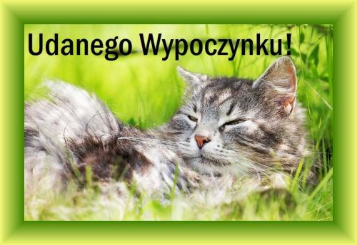 Szary, puszysty kot �pi w zielonej trawie, nad nim napis Udanego Wypoczynku w zielonej ramce