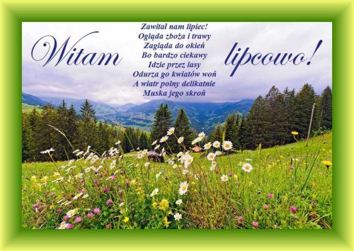 G�rski krajobraz z ��k� pe�n� stokrotek, lasem �wierkowym i napisem Witam lipcowo z wierszem