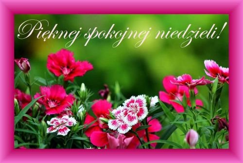 Kartka �ycz� Ci pi�knej, spokojnej niedzieli!