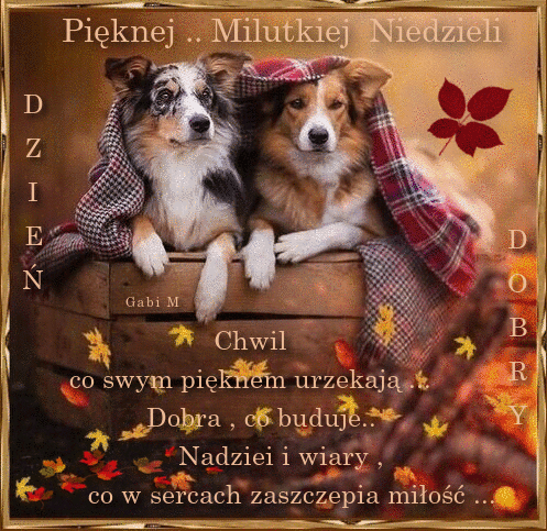 Kartka �ycz� Pi�knej ✽ Milutkiej Niedzieli ..