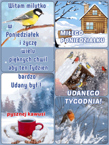 Zimowy kolaż z życzeniami, sikorką, drewnianą chatką, karmnikiem dla ptaków i kubkiem kawy