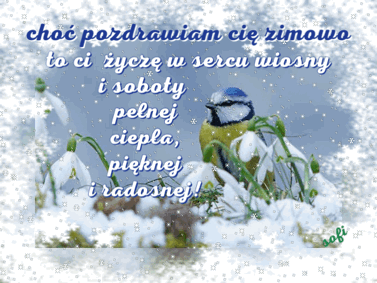 Obrazek dodany przez użytkowniczkę