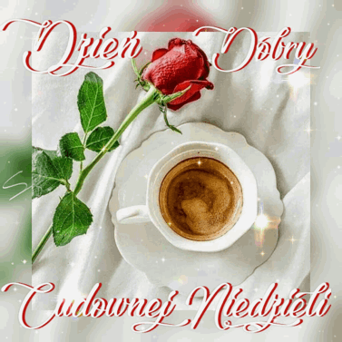 Fili�anka kawy na spodku, czerwona r�a i napis Dzie� Dobry Cudownej Niedzieli na jasnym tle