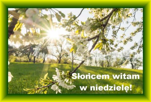 Kwitnące drzewo owocowe w słońcu, zielona łąka i napis: Słońcem witam w niedzielę