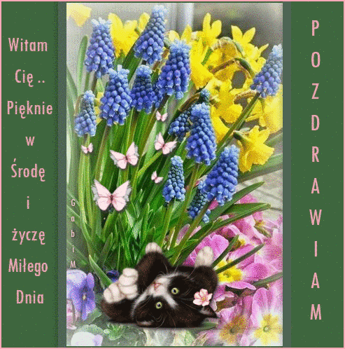 Czarno-bia�y kot le�y w�r�d niebieskich szafirk�w, ��tych �onkili, r�owych kwiat�w i motyli z napisami