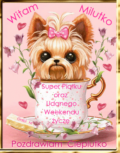 Ma�y piesek rasy york w fili�ance z kwiatami, r�owe napisy z �yczeniami weekendu