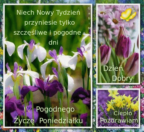 Bia�o-fioletowe irysy, fioletowe tulipany oraz ��te �onkile z napisami �ycz�cymi udanego tygodnia