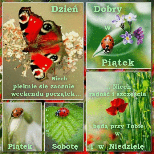 Kolorowy motyl pawik i biedronki na li�ciach oraz kwiaty z pozdrowieniami na weekend