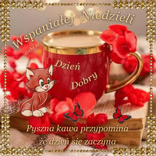 Czerwona fili�anka kawy, rudy kot, czerwone kwiaty, motyle, ksi��ka i b�yszcz�ca z�ota ramka
