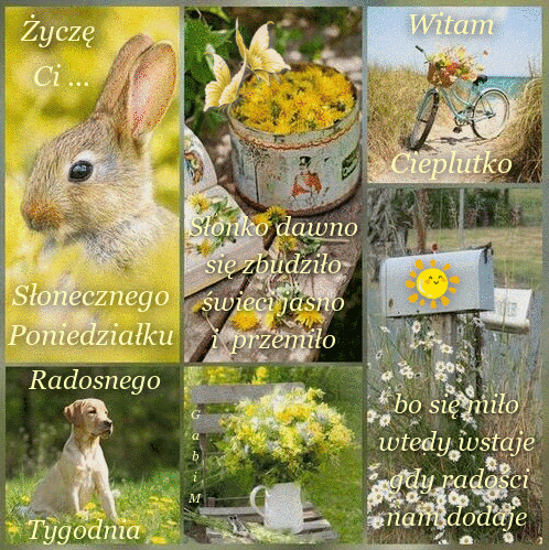 Kola� z zaj�czkiem, puszk� pe�n� ��tych kwiat�w, rowerem, szczeniakiem i skrzynk� na listy z napisem
