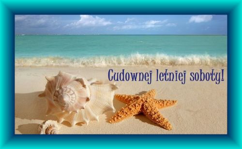 Muszle i rozgwiazda na piaszczystej pla�y nad morzem, z napisem Cudownej letniej soboty