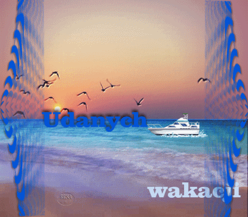Zach�d s�o�ca nad morzem, lec�ce ptaki, motor�wka na wodzie, niebieski napis Udanych wakacji