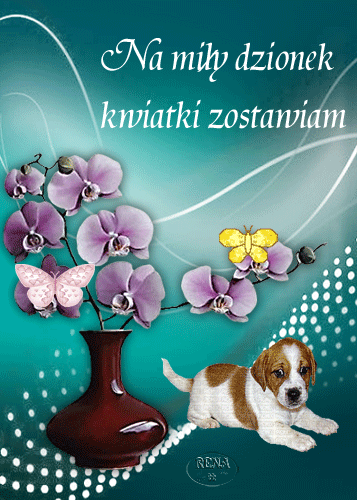 Fioletowe orchidee w wazonie, motyle, szczeniak oraz napis Na miły dzionek kwiatki zostawiam