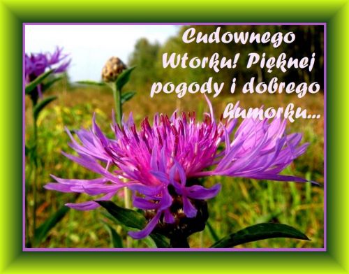 Kartka Cudownego wtorku!