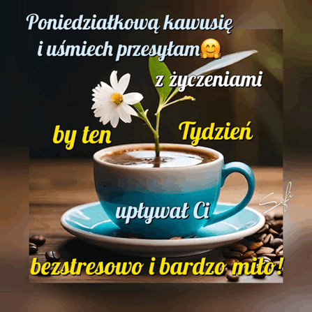 Obrazek dodany przez użytkowniczkę