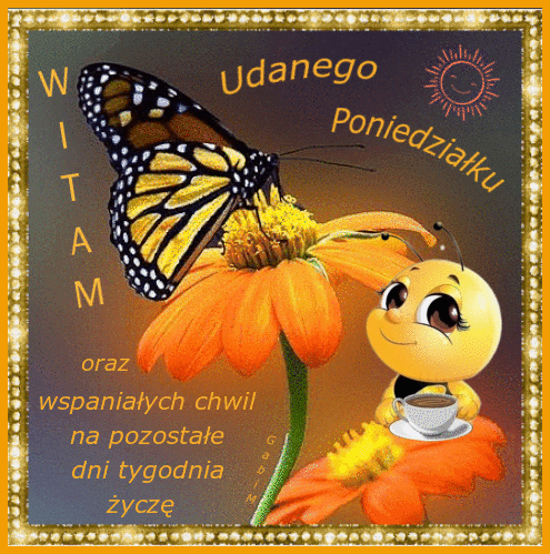 Motyl na pomarańczowym kwiatku, uśmiechnięta pszczoła z filiżanką kawy i napisy Witam Udanego Poniedziałku